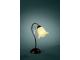 Stolní lampa KANTO 60W 36999/43/10