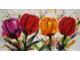 Obraz - Pestré tulipány