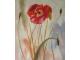 Obraz - Červený květ